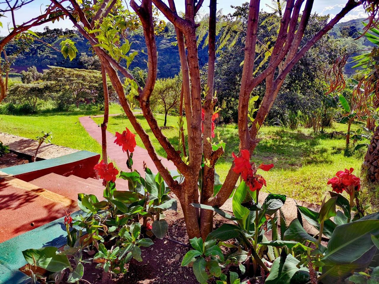 Ngorongoro Marera Mountain View Lodge Karatu Exterior photo